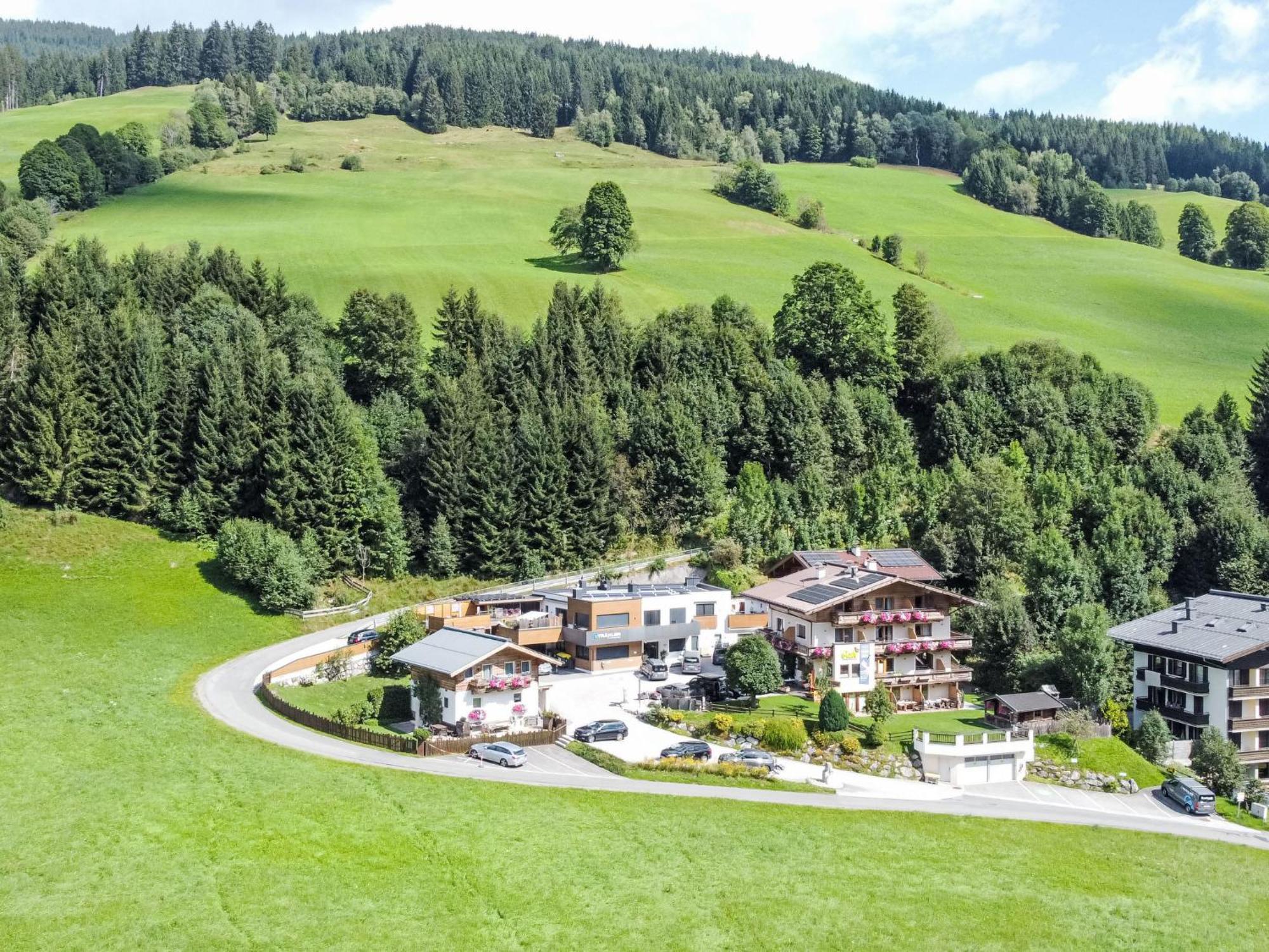 Apartment Saalbacher Perle - Slb350 By Interhome Экстерьер фото
